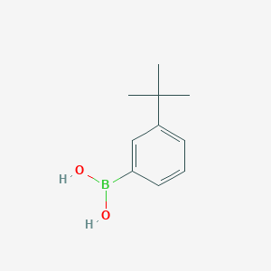molecular formula C10H15BO2 B1342903 3-Tert-butylphenylboronic acid CAS No. 560132-24-3