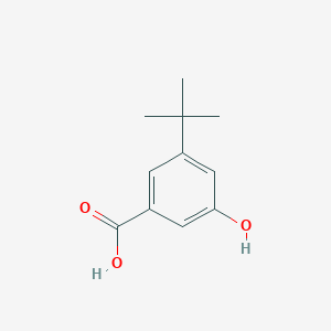 3-t-Butyl-5-hydroxybenzoic acid