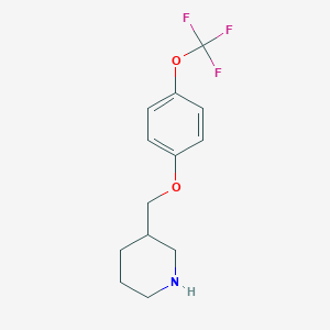 3-{[4-(Trifluoromethoxy)phenoxy]methyl}piperidine