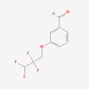molecular formula C10H8F4O2 B1343171 3-(2,2,3,3-Tetrafluoropropoxy)benzaldehyde 