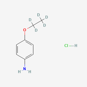 molecular formula C8H12ClNO B13432377 p-Phenetidine-d5 Hydrochloride 