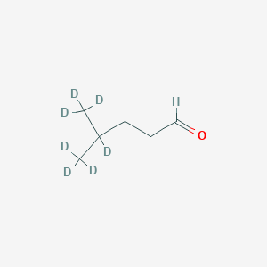 molecular formula C6H12O B13432785 4-Methylpentanal-d7 