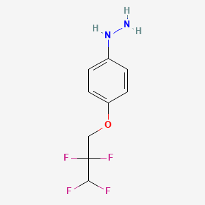 molecular formula C9H10F4N2O B13434088 4-(2,2,3,3-Tetrafluoropropoxy)phenylhydrazine CAS No. 175691-03-9
