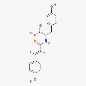 molecular formula C19H19NO5 B13439997 N-p-Coumaroyltyrosine Methyl Ester 