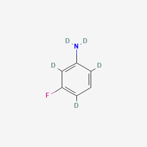 molecular formula C6H6FN B13440068 N,N,2,4,6-pentadeuterio-3-fluoroaniline 