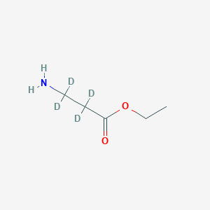 molecular formula C5H11NO2 B13440408 Ethyl beta-Alanine-2,2,3,3-d4 Ester 