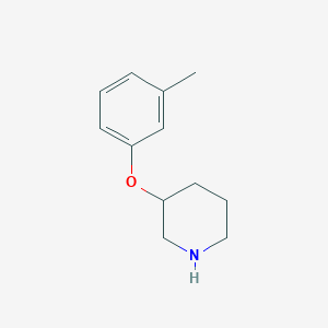 molecular formula C12H17NO B1344110 3-(3-Methylphenoxy)piperidine CAS No. 912761-71-8