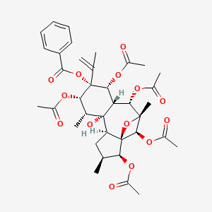 molecular formula C37H46O14 B13441140 Trigonothyrin D 