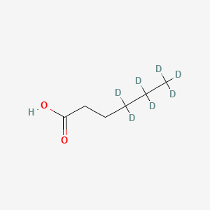 molecular formula C6H12O2 B13441239 Hexanoic-4,4,5,5,6,6,6-D7 acid 
