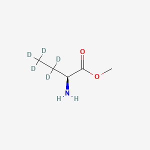 molecular formula C5H11NO2 B13441439 L-2-Aminobutanoate Methyl Ester-d5 