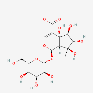 molecular formula C17H26O13 B13442897 methyl (1R,4aR,5S,6S,7S,7aR)-4a,5,6,7-tetrahydroxy-7-methyl-1-[(2R,3S,4R,5R,6S)-3,4,5-trihydroxy-6-(hydroxymethyl)oxan-2-yl]oxy-1,5,6,7a-tetrahydrocyclopenta[c]pyran-4-carboxylate 
