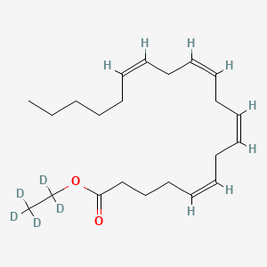 molecular formula C22H36O2 B13442997 Ethyl Arachidonate-d5 