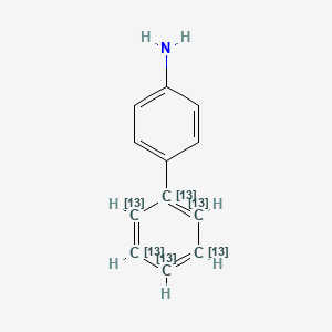 molecular formula C12H11N B13443528 4-Aminobiphenyl-13C6 