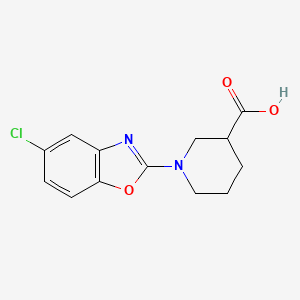 1-(5-Chloro-1,3-benzoxazol-2-yl)piperidine-3-carboxylic acid