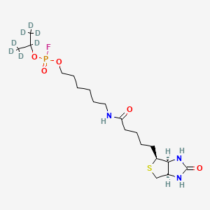 molecular formula C19H35FN3O5PS B13444296 6-N-Biotinylaminohexyl Isopropyl-d7 Phosphorofluoridate, Hemihydrate 