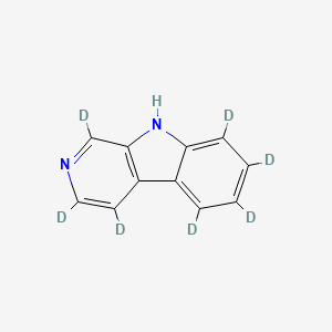 molecular formula C11H8N2 B13445073 Norharman-d7 