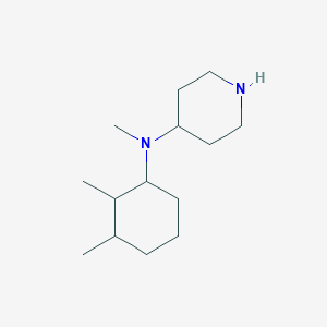 molecular formula C14H28N2 B1344509 N-(2,3-二甲基环己基)-N-甲基哌啶-4-胺 CAS No. 1186644-90-5