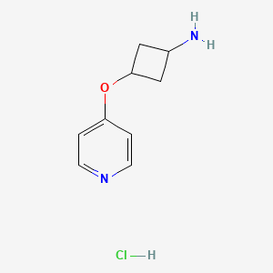 molecular formula C9H13ClN2O B13445429 Rac-(1s,3s)-3-(pyridin-4-yloxy)cyclobutan-1-amine hydrochloride CAS No. 2913226-42-1