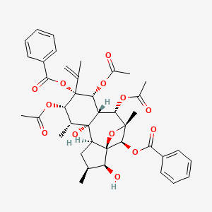molecular formula C40H46O13 B13445475 Trigochinin A 