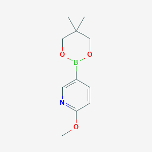 molecular formula C11H16BNO3 B1344663 5-(5,5-Dimethyl-1,3,2-dioxaborinan-2-YL)-2-methoxypyridine CAS No. 1022094-44-5
