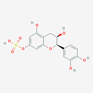 Epicatechin 7-sulfate
