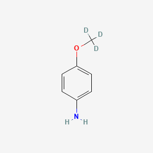 molecular formula C7H9NO B13449409 4-(2H3)methoxyaniline 