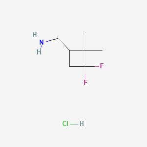 molecular formula C7H14ClF2N B13449986 1-(3,3-Difluoro-2,2-dimethylcyclobutyl)methanamine hydrochloride 