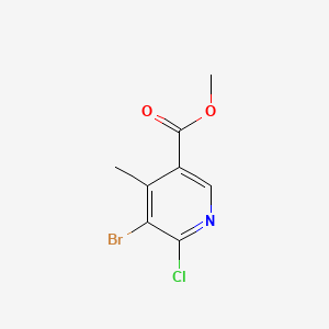 molecular formula C8H7BrClNO2 B13450233 Methyl 5-bromo-6-chloro-4-methylpyridine-3-carboxylate 