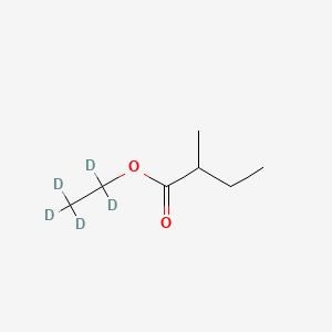 molecular formula C7H14O2 B13450665 Ethyl-d5 2-Methylbutyrate 