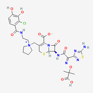 molecular formula C29H33ClN8O10S2 B13451025 (6R,7R)-7-[[(2E)-2-(5-amino-1,2,4-thiadiazol-3-yl)-2-(2-carboxypropan-2-yloxyimino)acetyl]amino]-3-[[1-[2-[(2-chloro-3,4-dihydroxybenzoyl)amino]ethyl]pyrrolidin-1-ium-1-yl]methyl]-8-oxo-5-thia-1-azabicyclo[4.2.0]oct-2-ene-2-carboxylate 