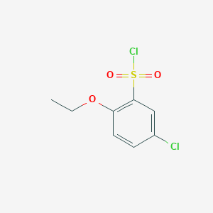molecular formula C8H8Cl2O3S B1345270 5-氯-2-乙氧基苯基-1-磺酰氯 CAS No. 928709-67-5