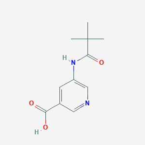 B1345275 5-(2,2-Dimethyl-propionylamino)-nicotinic acid CAS No. 879326-77-9