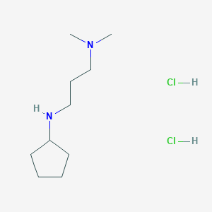 molecular formula C10H24Cl2N2 B1345333 N-[3-(dimethylamino)propyl]cyclopentanamine dihydrochloride CAS No. 1177335-23-7