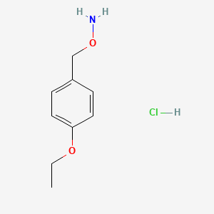 molecular formula C9H14ClNO2 B13455383 O-[(4-ethoxyphenyl)methyl]hydroxylamine hydrochloride 