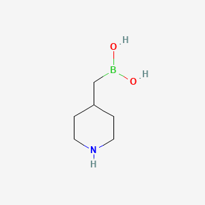 molecular formula C6H14BNO2 B13455423 (Piperidin-4-ylmethyl)boronic acid 