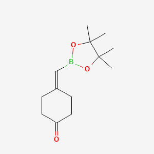 molecular formula C13H21BO3 B13455627 4-[(4,4,5,5-Tetramethyl-1,3,2-dioxaborolan-2-yl)methylidene]cyclohexan-1-one CAS No. 888721-84-4