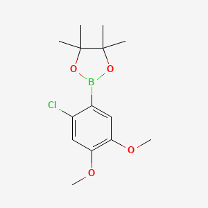 molecular formula C14H20BClO4 B13455835 2-(2-Chloro-4,5-dimethoxyphenyl)-4,4,5,5-tetramethyl-1,3,2-dioxaborolane 