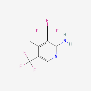 molecular formula C8H6F6N2 B13456413 4-Methyl-3,5-bis(trifluoromethyl)pyridin-2-amine 