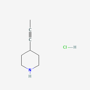 molecular formula C8H14ClN B13456662 4-(Prop-1-yn-1-yl)piperidine hydrochloride 