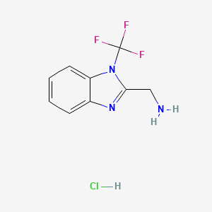 molecular formula C9H9ClF3N3 B13456911 1-[1-(trifluoromethyl)-1H-1,3-benzodiazol-2-yl]methanaminehydrochloride 