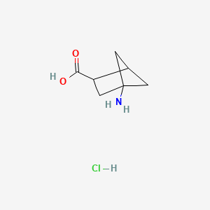 molecular formula C7H12ClNO2 B13457099 4-Aminobicyclo[2.1.1]hexane-2-carboxylic acid hydrochloride 