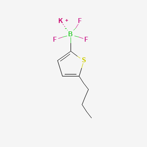 molecular formula C7H9BF3KS B13457541 Potassium trifluoro(5-propylthiophen-2-yl)boranuide 