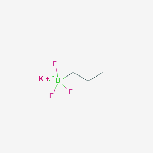 molecular formula C5H11BF3K B13457752 Potassium trifluoro(3-methylbutan-2-yl)borate 