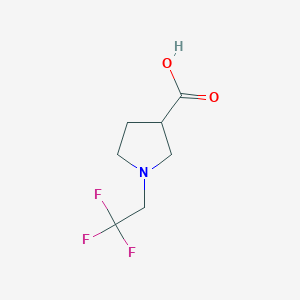 molecular formula C7H10F3NO2 B1345791 1-(2,2,2-Trifluoroethyl)pyrrolidine-3-carboxylic acid 