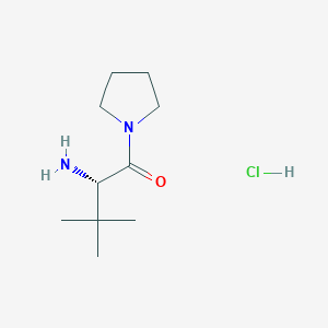 molecular formula C10H21ClN2O B13457998 (2S)-2-amino-3,3-dimethyl-1-(pyrrolidin-1-yl)butan-1-one hydrochloride 