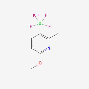 molecular formula C7H8BF3KNO B13458307 Potassium trifluoro(6-methoxy-2-methylpyridin-3-yl)borate 