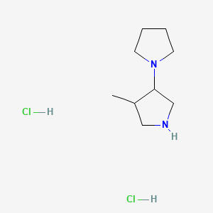 molecular formula C9H20Cl2N2 B13458615 4'-Methyl-1,3'-bipyrrolidine dihydrochloride 