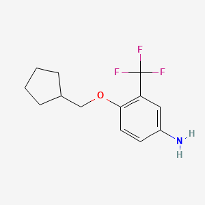 molecular formula C13H16F3NO B1345871 4-(Cyclopentylmethoxy)-3-(trifluoromethyl)aniline CAS No. 946662-68-6