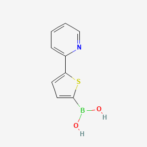 molecular formula C9H8BNO2S B13460489 5-(Pyridin-2-yl)thiophene-2-boronic acid 