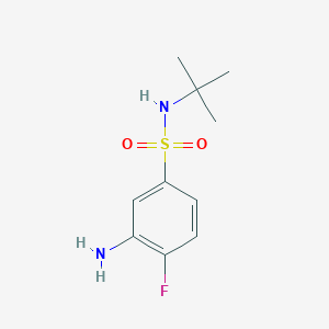 molecular formula C10H15FN2O2S B1346118 3-amino-N-tert-butyl-4-fluorobenzene-1-sulfonamide 